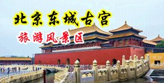 艳屄中国北京-东城古宫旅游风景区